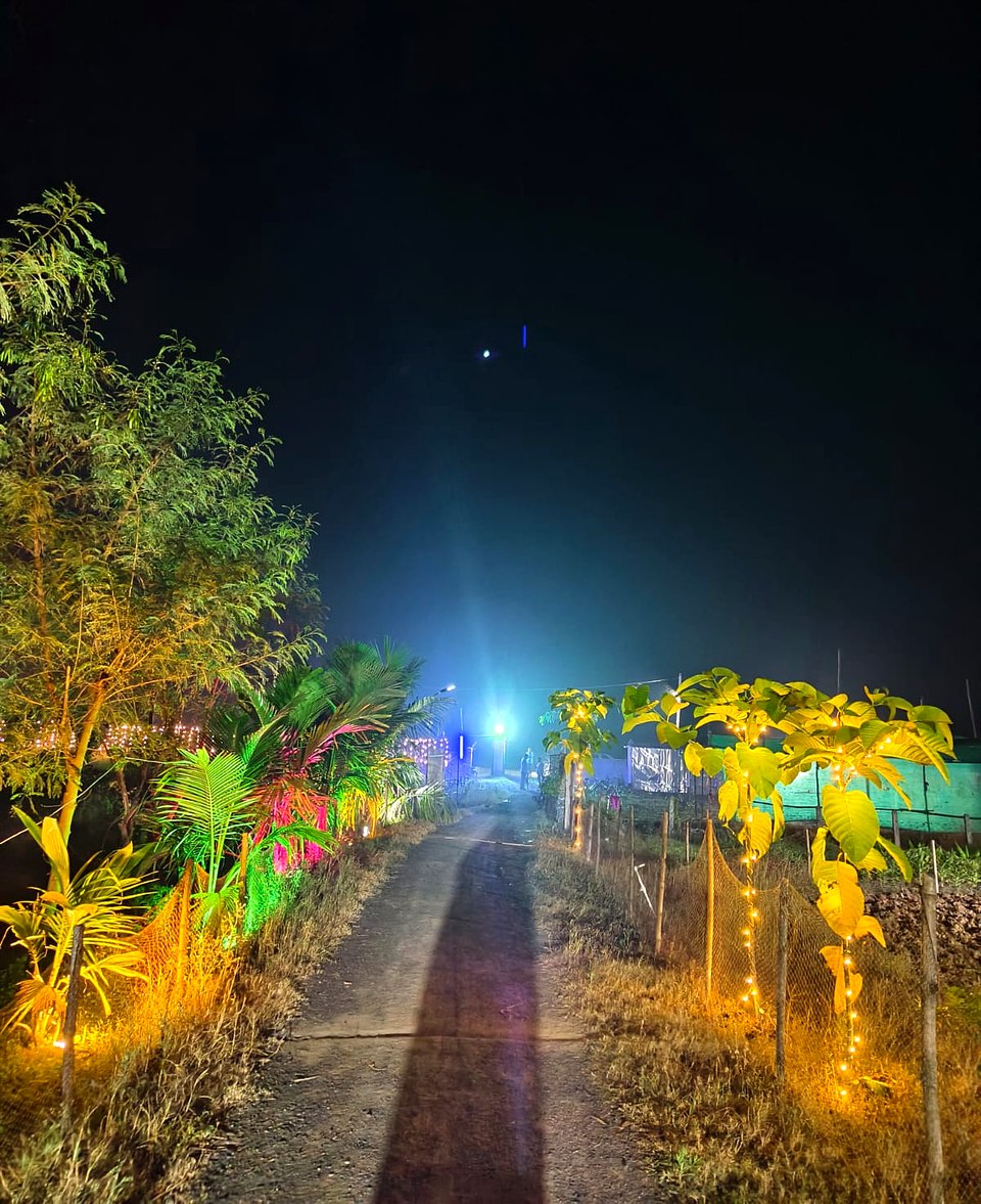Night path into the Ashram, lined with trees and festival lights.